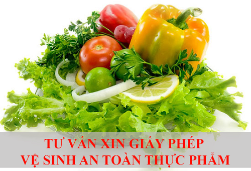 Làm giấy phép vệ sinh an toàn thực phẩm ở đâu tại quy nhơn bình định